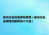 钠与水反应现象和原理（钠与水反应原理与解释简介介绍）