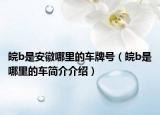 皖b是安徽哪里的车牌号（皖b是哪里的车简介介绍）