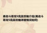 勇者斗恶龙5完美攻略介绍(勇者斗恶龙5完美攻略详细情况如何)