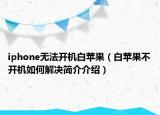 iphone无法开机白苹果（白苹果不开机如何解决简介介绍）