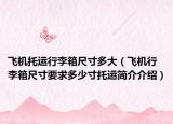飞机托运行李箱尺寸多大（飞机行李箱尺寸要求多少寸托运简介介绍）