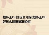 指环王OL好玩么介绍(指环王OL好玩么详细情况如何)