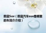 蔚蓝Suv（蔚蓝汽车suv是哪里的车简介介绍）