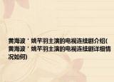 黄海波＇姚芊羽主演的电视连续剧介绍(黄海波＇姚芊羽主演的电视连续剧详细情况如何)