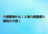 六感都有什么（人有六感是哪六感简介介绍）