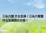 三头六臂 什么生肖（三头六臂是什么生肖简介介绍）