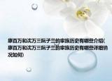 康百万和沈万三阮子兰的家族历史有哪些介绍(康百万和沈万三阮子兰的家族历史有哪些详细情况如何)