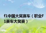 f1中国大奖赛车（职业F1赛车大奖赛）