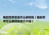 我的世界里面怎么刷经验（我的世界怎么刷经验简介介绍）