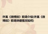 许嵩《微博控》歌词介绍(许嵩《微博控》歌词详细情况如何)