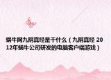 蜗牛网九阴真经是干什么（九阴真经 2012年蜗牛公司研发的电脑客户端游戏）