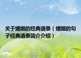 关于婚姻的经典语录（婚姻的句子经典语录简介介绍）