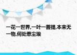 一花一世界,一叶一菩提,本来无一物,何处惹尘埃