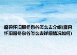 魔兽怀旧服冬泉谷怎么去介绍(魔兽怀旧服冬泉谷怎么去详细情况如何)