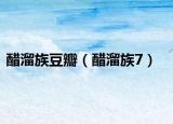 醋溜族豆瓣（醋溜族7）