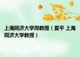 上海同济大学周教授（夏平 上海同济大学教授）