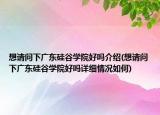 想请问下广东硅谷学院好吗介绍(想请问下广东硅谷学院好吗详细情况如何)
