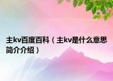 主kv百度百科（主kv是什么意思简介介绍）