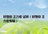 好想你 王力宏 试听（好想你 王力宏专辑）