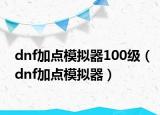 dnf加点模拟器100级（dnf加点模拟器）