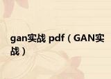 gan实战 pdf（GAN实战）