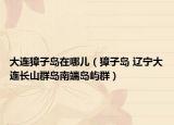 大连獐子岛在哪儿（獐子岛 辽宁大连长山群岛南端岛屿群）