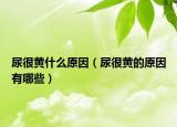 尿很黄什么原因（尿很黄的原因有哪些）