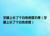 牙龈上长了个白色疙瘩不疼（牙龈上长了个白色疙瘩）