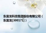 东富龙科技集团股份有限公司（东富龙[300171]）