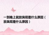 一到晚上就放臭屁是什么原因（放臭屁是什么原因）
