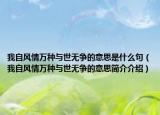 我自风情万种与世无争的意思是什么句（我自风情万种与世无争的意思简介介绍）