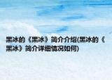 黑冰的《黑冰》简介介绍(黑冰的《黑冰》简介详细情况如何)
