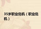 35岁职业危机（职业危机）