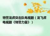 特警龙虎突击队电视剧（龙飞虎 电视剧《特警力量》）