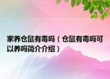 家养仓鼠有毒吗（仓鼠有毒吗可以养吗简介介绍）