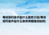 粤语里叼拿声是什么意思介绍(粤语里叼拿声是什么意思详细情况如何)
