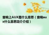 音响上AUX是什么意思（音响aux什么意思简介介绍）