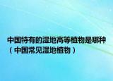 中国特有的湿地高等植物是哪种（中国常见湿地植物）
