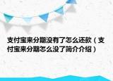支付宝来分期没有了怎么还款（支付宝来分期怎么没了简介介绍）