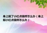 身上起了小红点很痒怎么办（身上起小红点很痒怎么办）