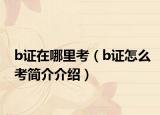 b证在哪里考（b证怎么考简介介绍）