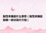 黏性末端是什么意思（黏性末端是指哪一部分简介介绍）