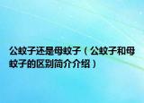 公蚊子还是母蚊子（公蚊子和母蚊子的区别简介介绍）