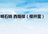 明石晓 西堀樱（樱井萤）
