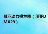 拜亚动力榭兰图（拜亚DMX29）