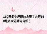 160是多少尺码的衣服（衣服160是多大码简介介绍）