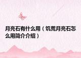 月亮石有什么用（饥荒月亮石怎么用简介介绍）