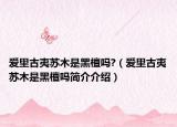 爱里古夷苏木是黑檀吗?（爱里古夷苏木是黑檀吗简介介绍）