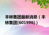丰林集团最新消息（丰林集团[601996]）