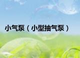 小气泵（小型抽气泵）